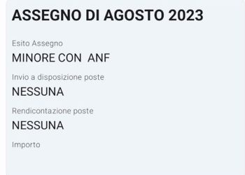 Assegno Unico Universale non pagato: come mai?