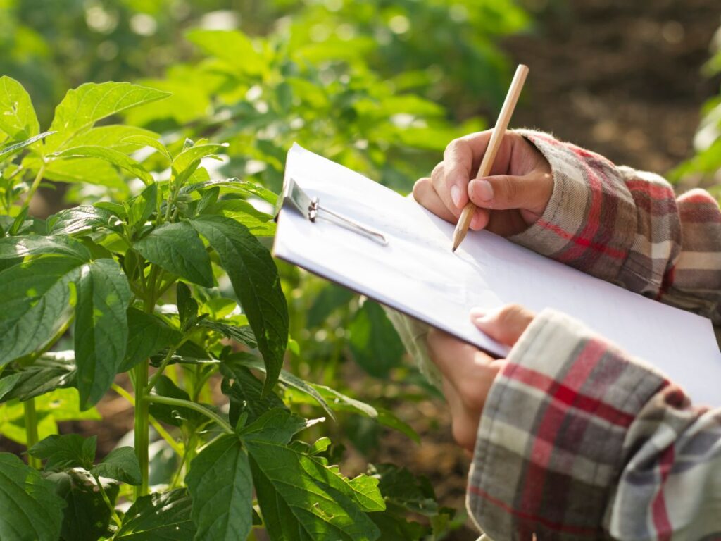 bonus agricoltura tutte le agevolazioni del 2024