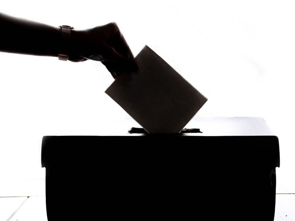 adi e candidatura elettorale