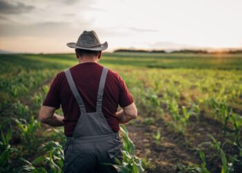 disoccupazione agricola giugno 2024