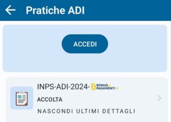 pagamenti adi metà agosto 2024