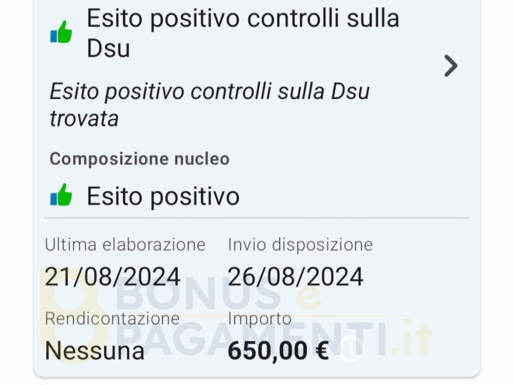 rendicontazione adi e disposizione