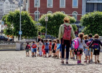 gite di istruzione come funziona per i docenti