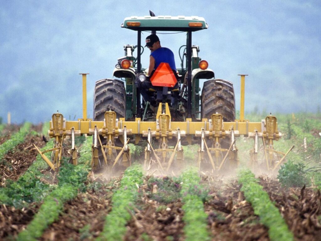 servizio civile agricolo