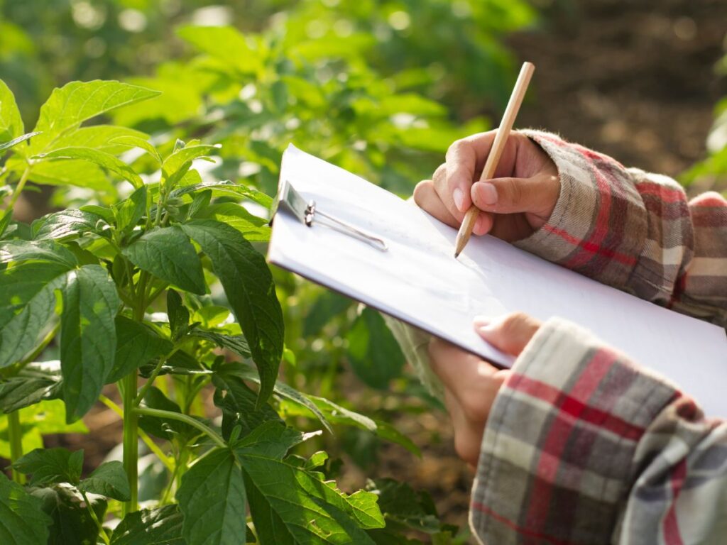 bonus zes per l'agricoltura