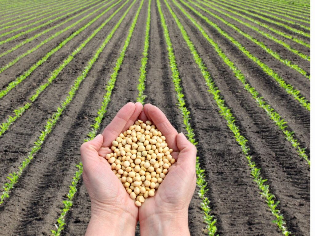 disoccupazione agricola