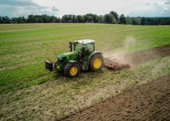 disoccupazione agricola 2025