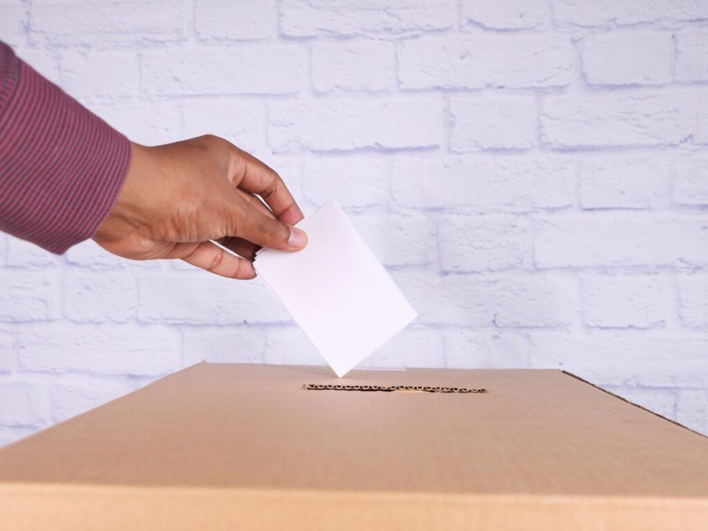scrutinatore seggio elettorale e adi