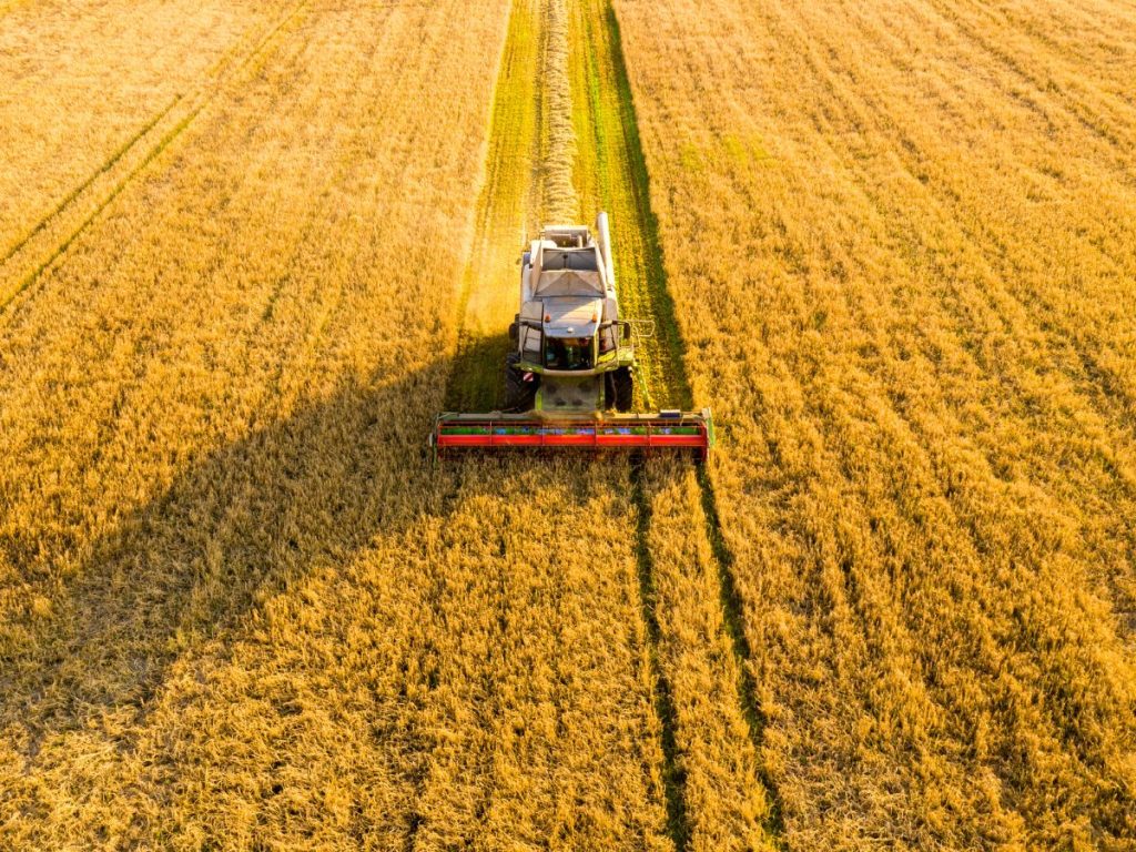 Bonus agricoltori 2025